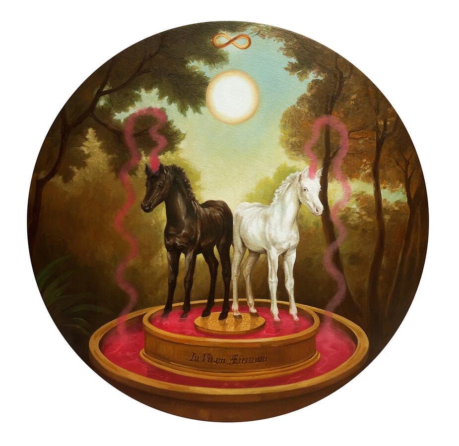 Andrea-du-Plessis -horse