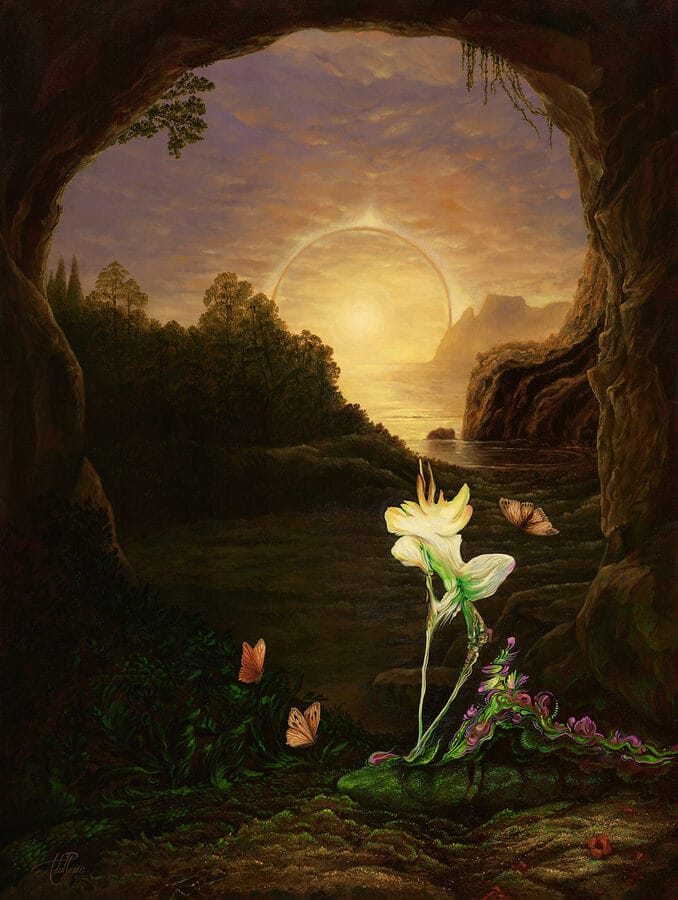 Andrea-du-Plessis -sunset