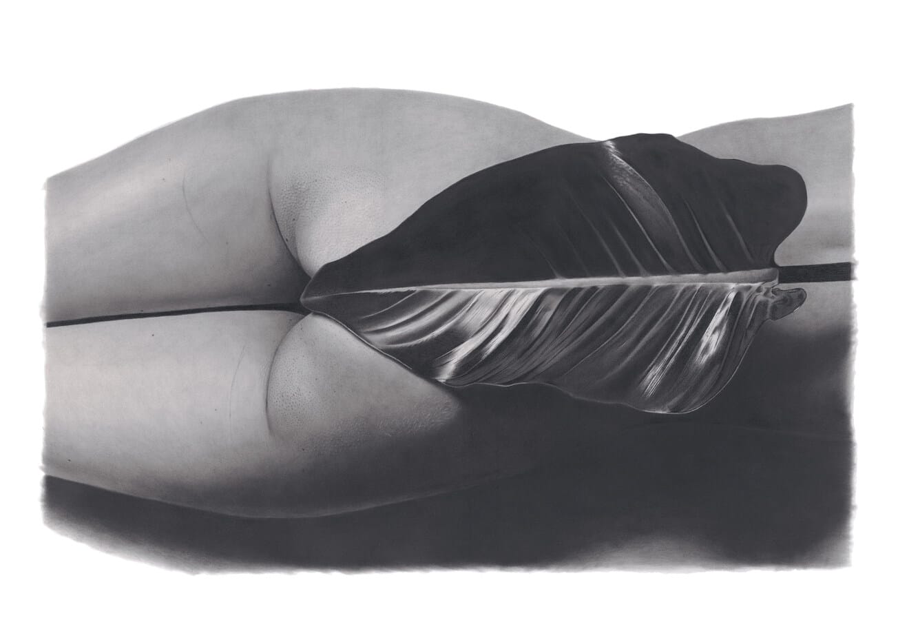 Daniel-McMahon-Figurative-arts