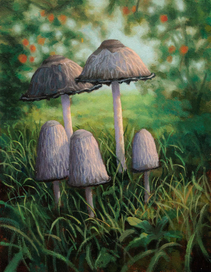 Ink-Caps-Under-Apple-Trees-Quintin-Davies