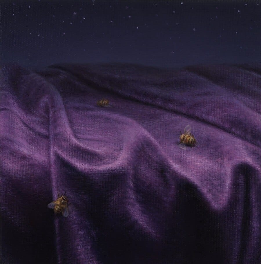 Jacqueline-Butterworth-bee