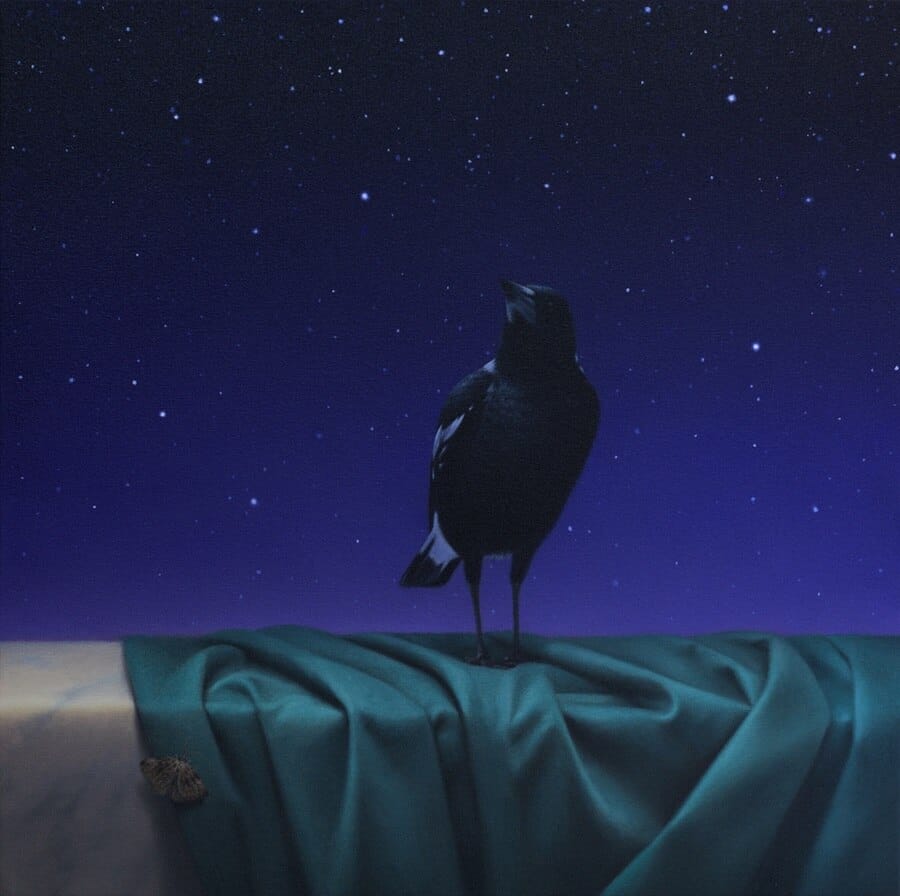 Jacqueline-Butterworth-bird