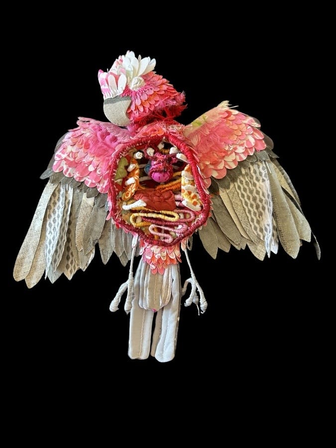 Robyn-Lees-West-birds