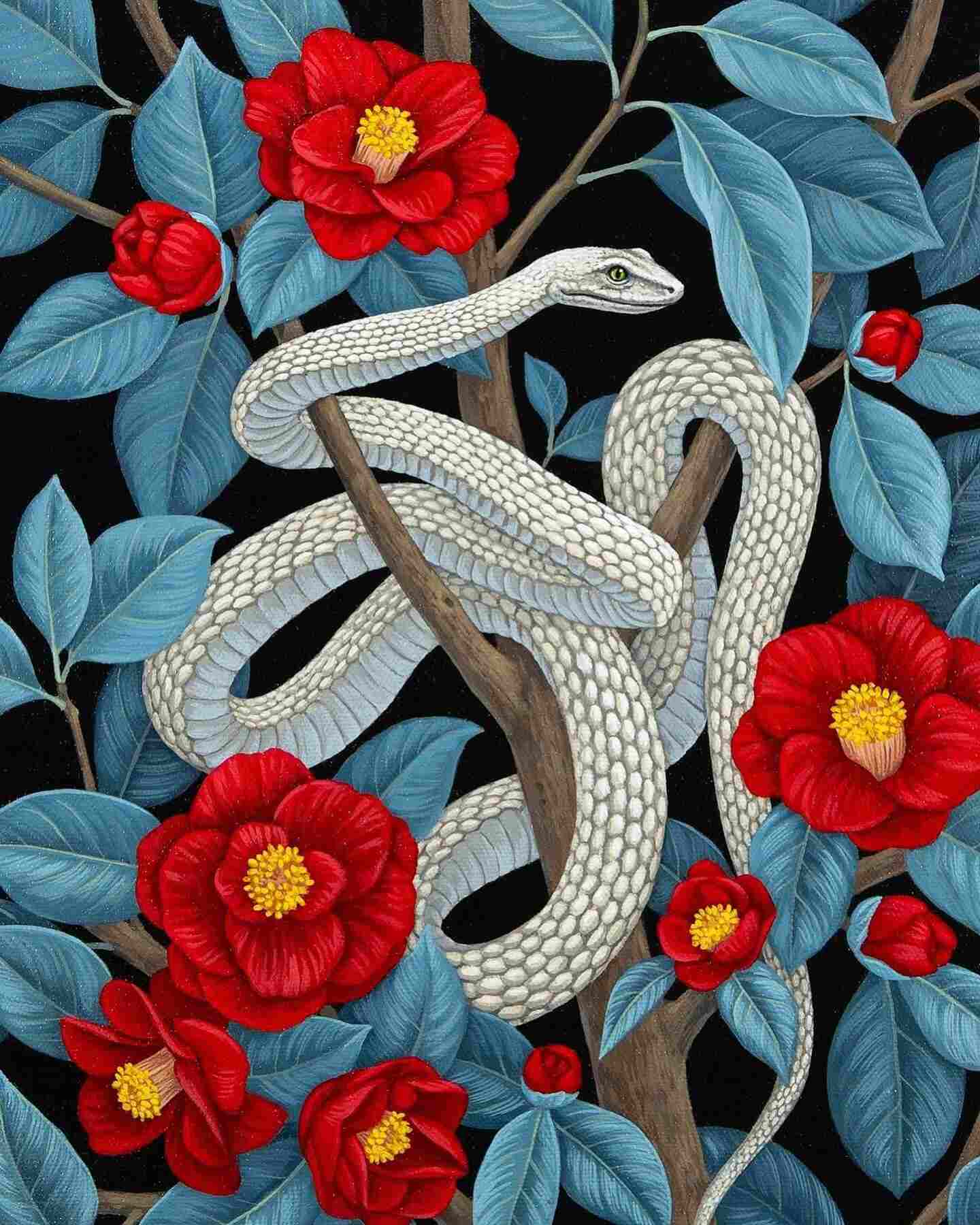 Vasilisa-Romanenko-snake