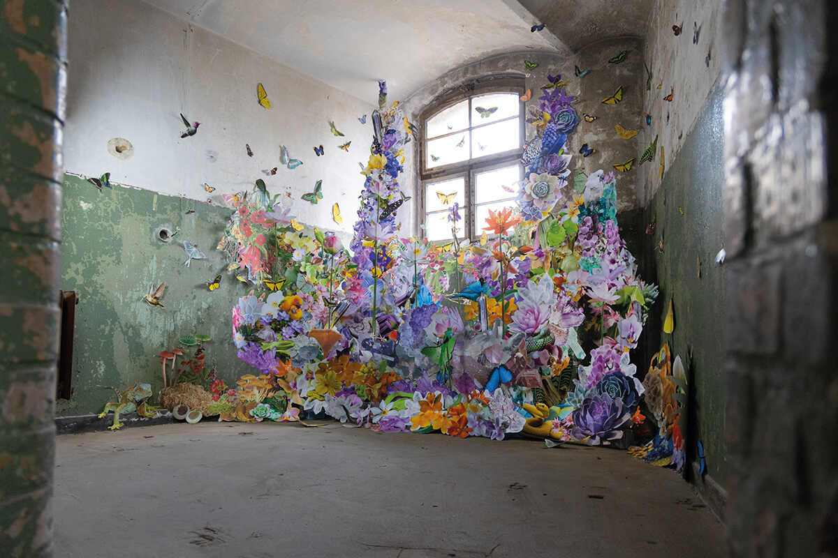 Clare-Celeste-installation