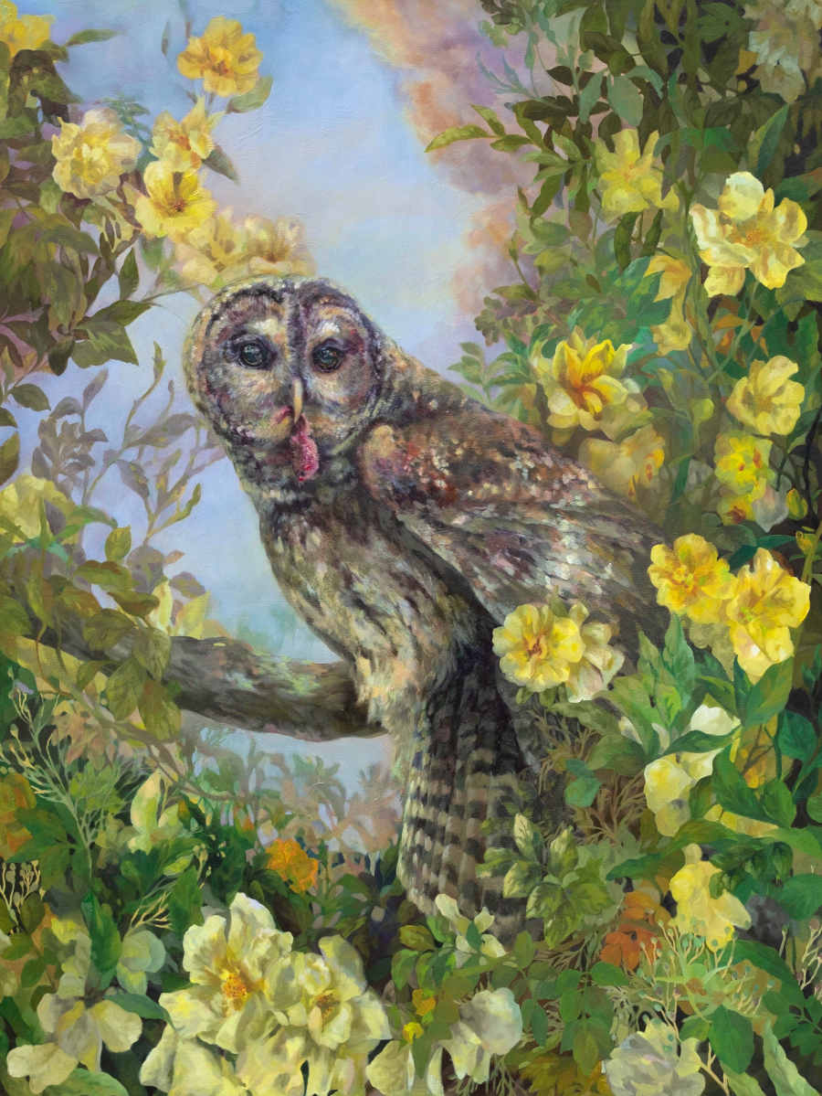 Daydreamer-Rhea-O'Neill