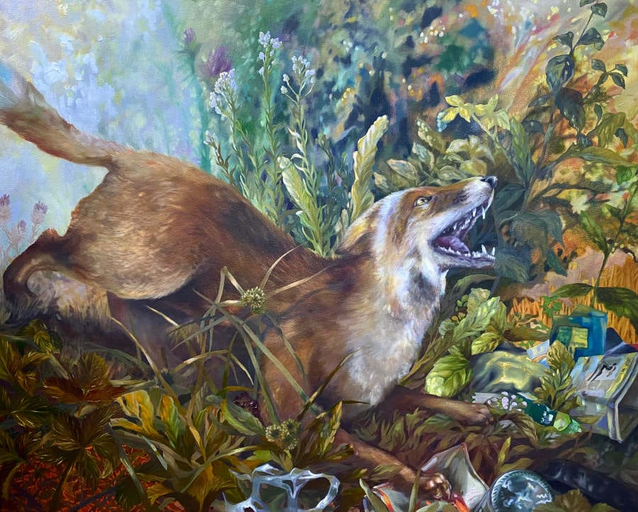 Discarded-Rhea-ONeill