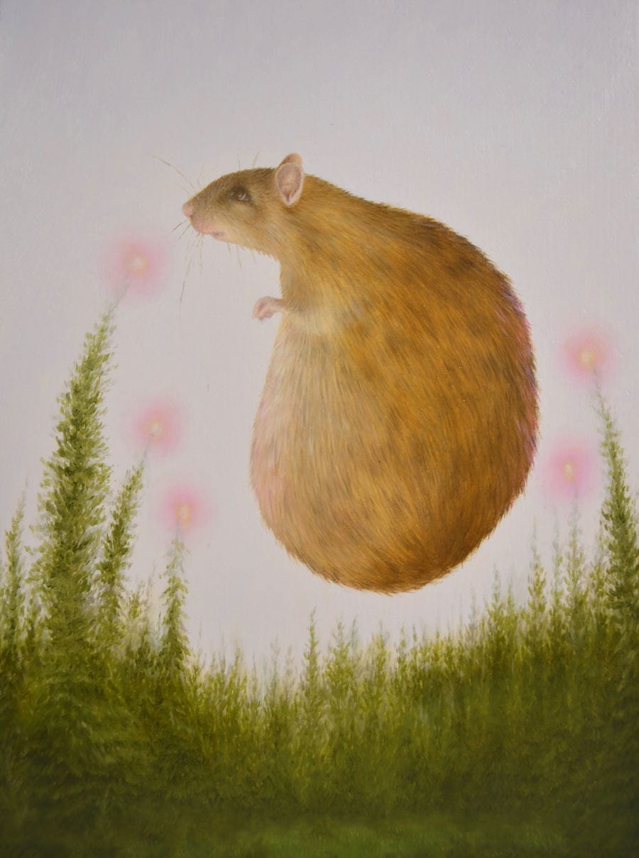 Gently-Tammy-Whitworth