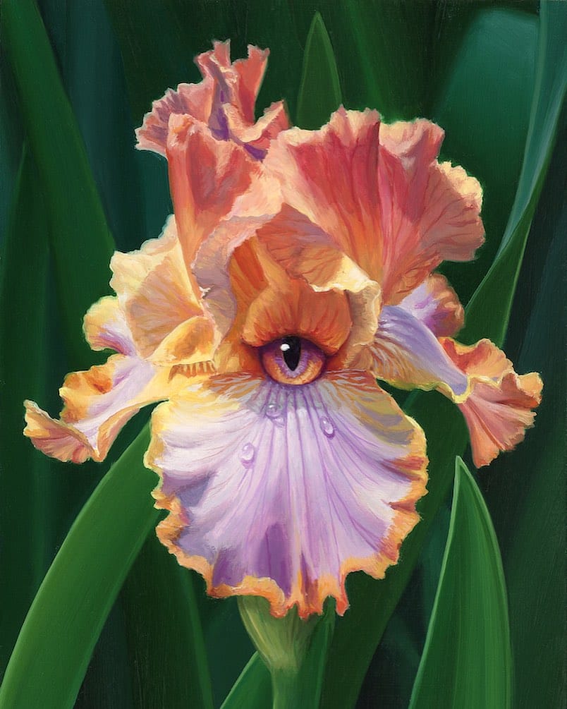 Jon-Ching-iris