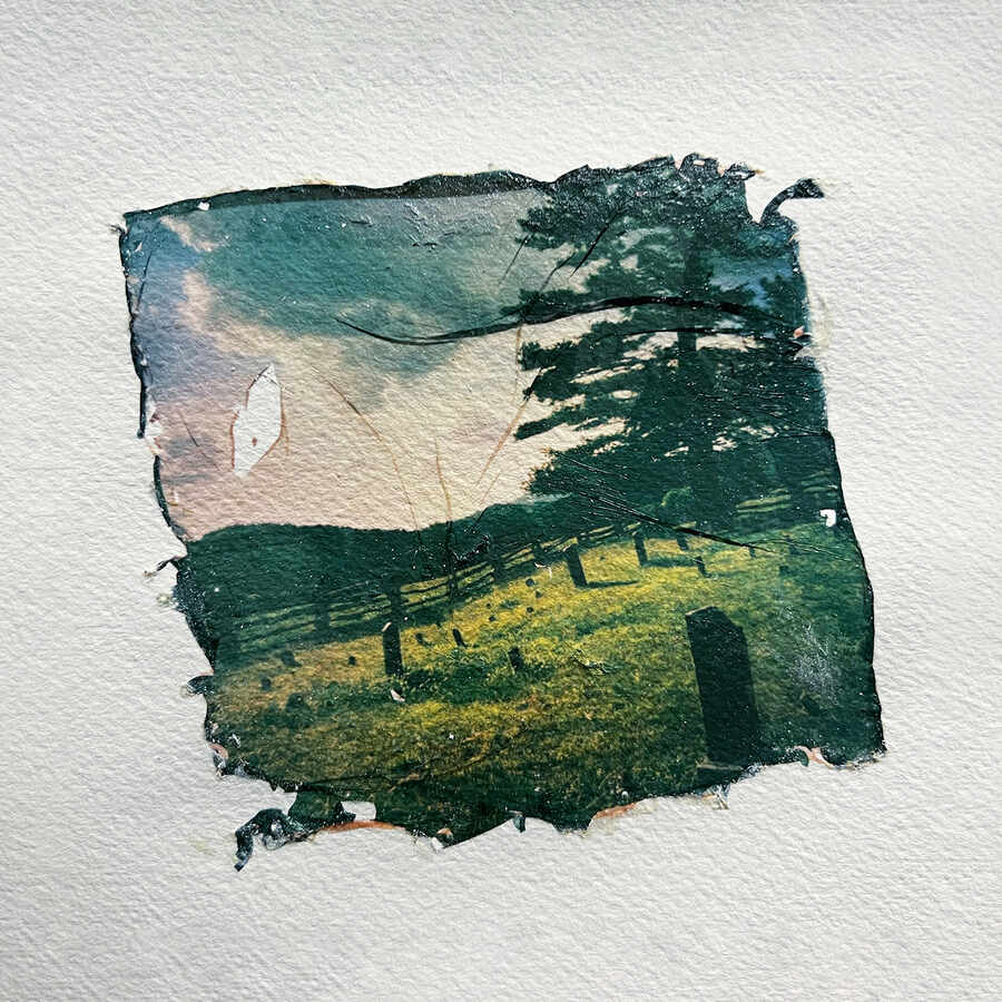 Laura-Barth-paradise