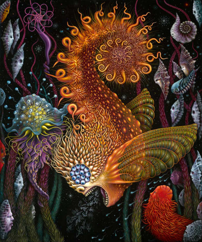 RobertConnett-Falling