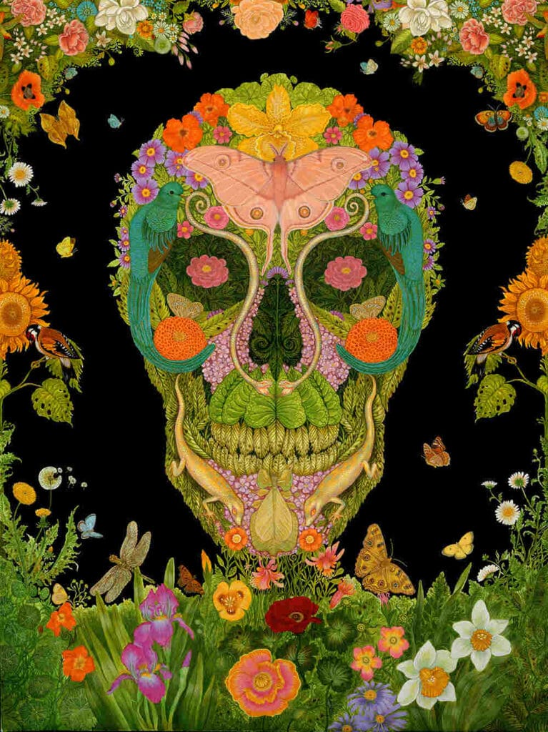 Tino-Rodriguez-Spring