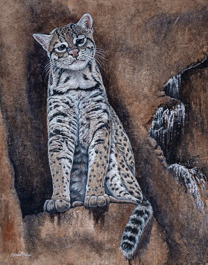 Rachel-Ivanyi-First-Drops