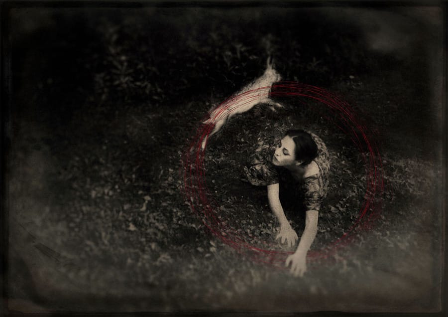 Ana-Priscila-Rodriguez-The-Oracle