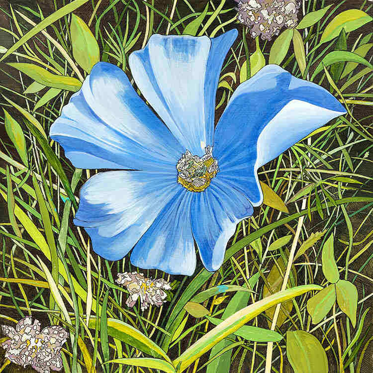 Bob-Coonts-Range-Flower