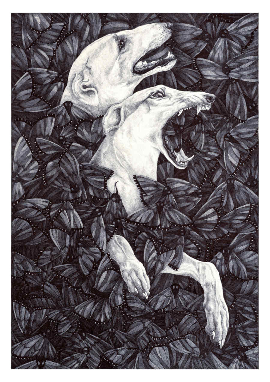 Sara-Baun-Doggo-1