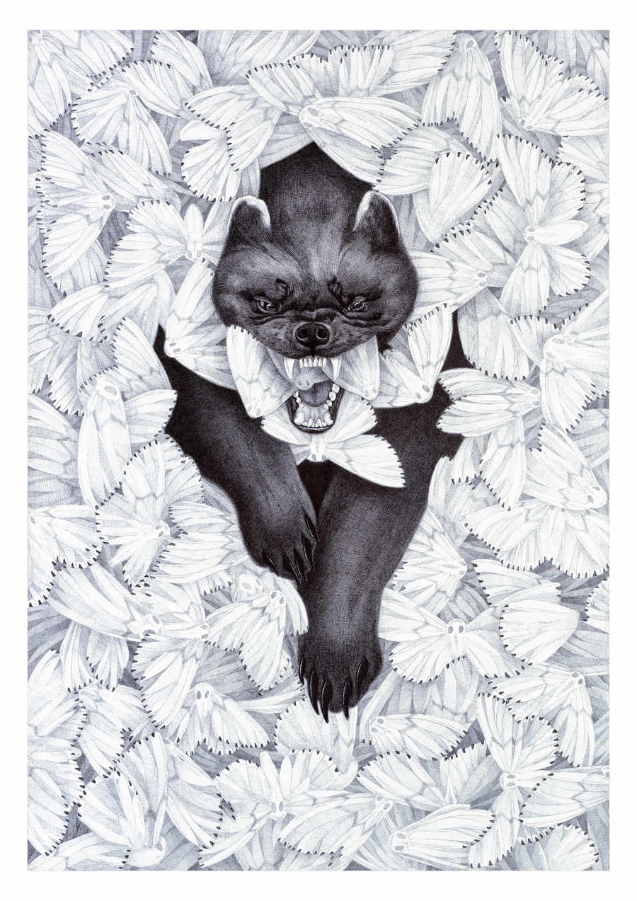 Sara-Baun-Wolverine