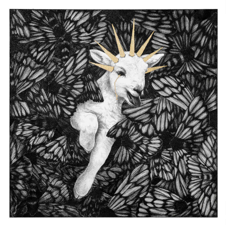 Sara-Baun-fly-with-them