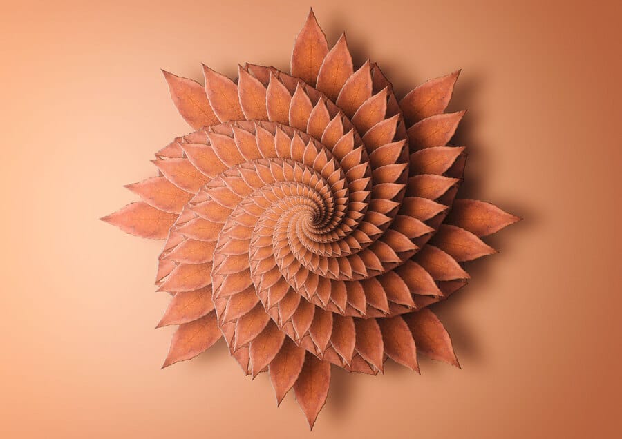 Matt-Walford-Maple-Fractal