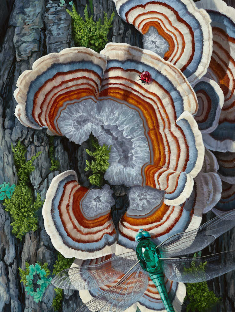 Jon-Ching-Transference