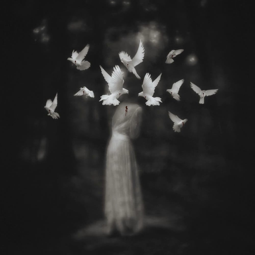 Sharon-Covert-birds
