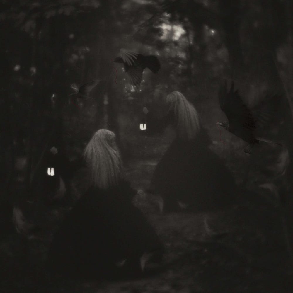 Sharon-Covert-conept