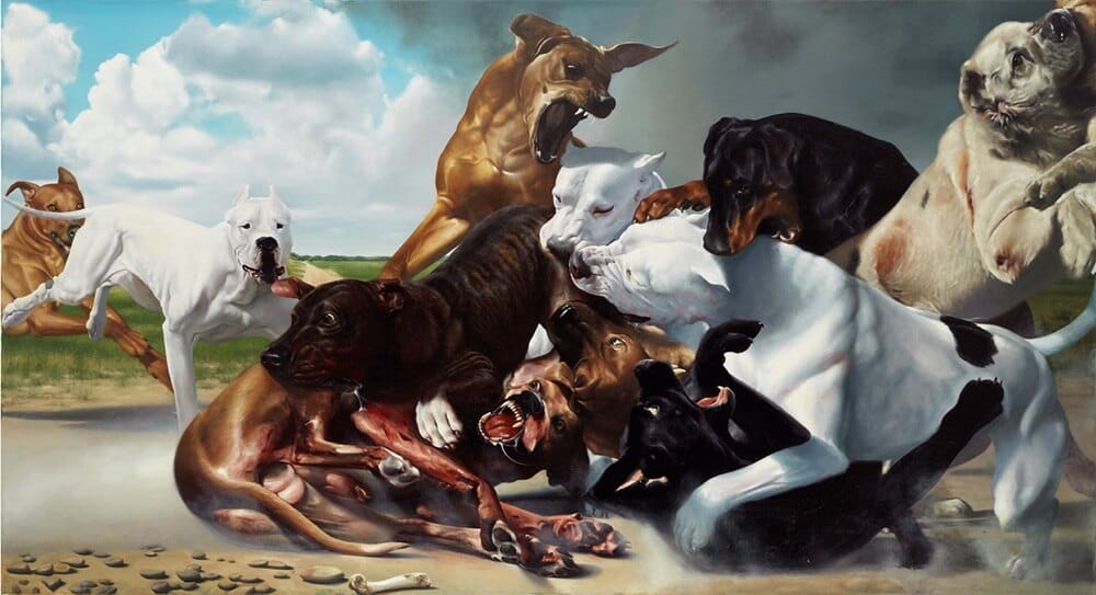 david-nicholson-dogs