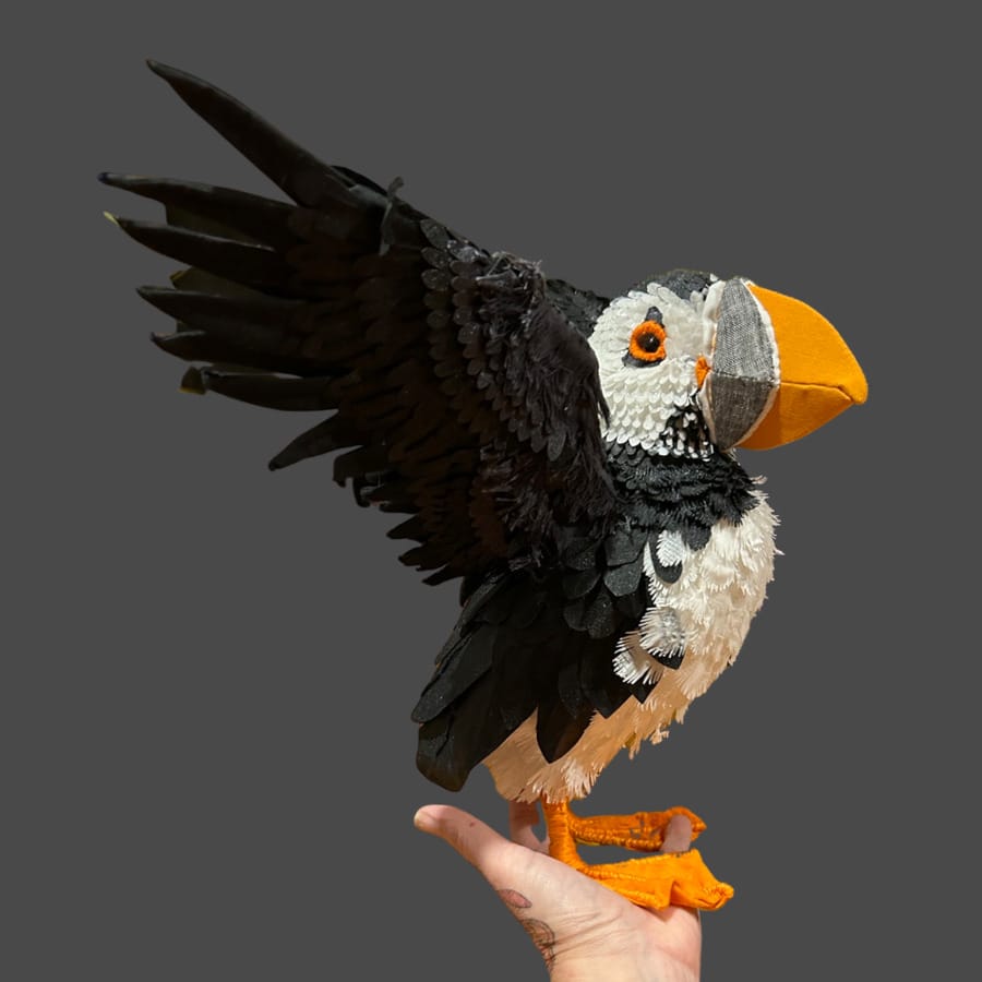 Robyn-Lees-West-black-parrot