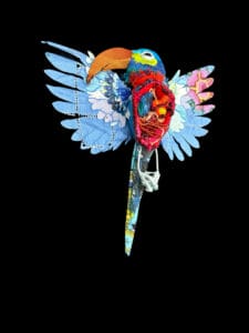 Robyn-Lees-West-fly-high