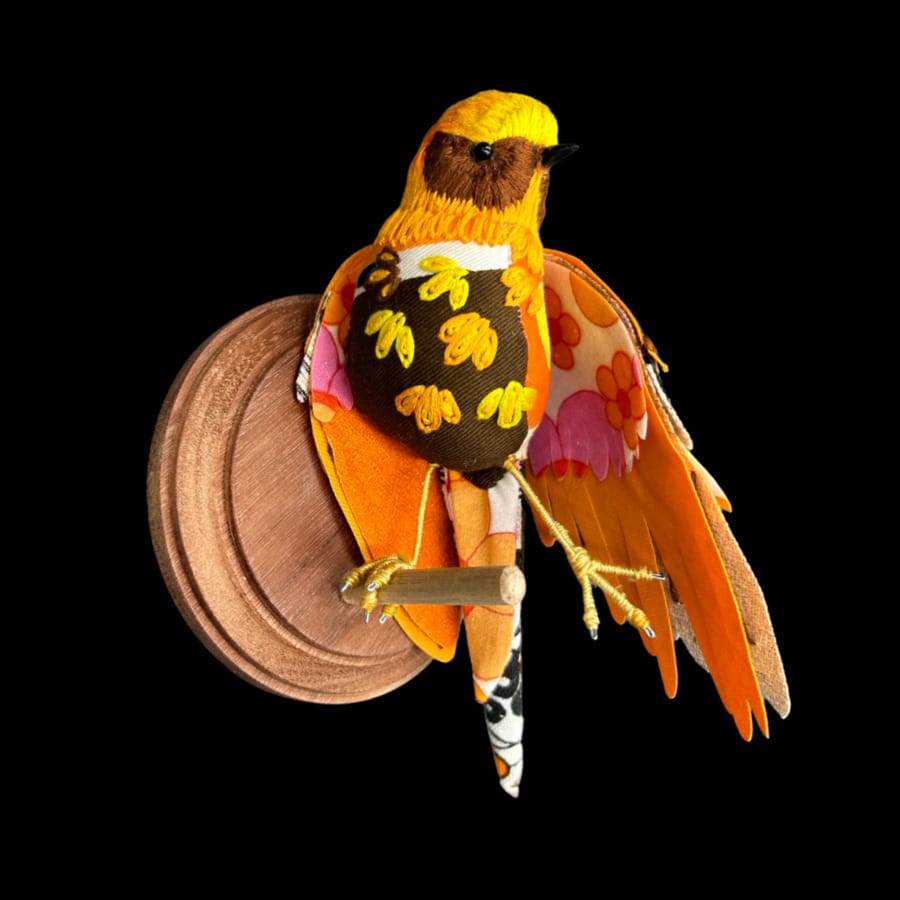 Robyn-Lees-West-wild-wild-west-parrot