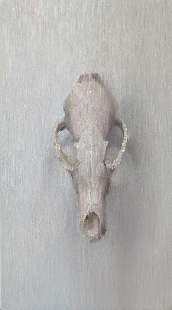 Fox-Eye-View_LizGridley